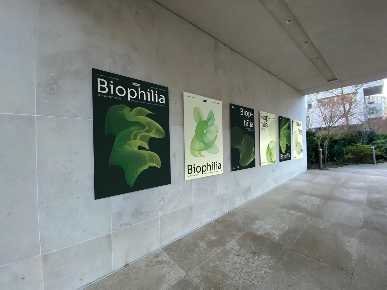 Biophilia Poster Mockup